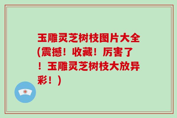 玉雕灵芝树枝图片大全(震撼!收藏!厉害了!玉雕灵芝树枝大放异彩!)