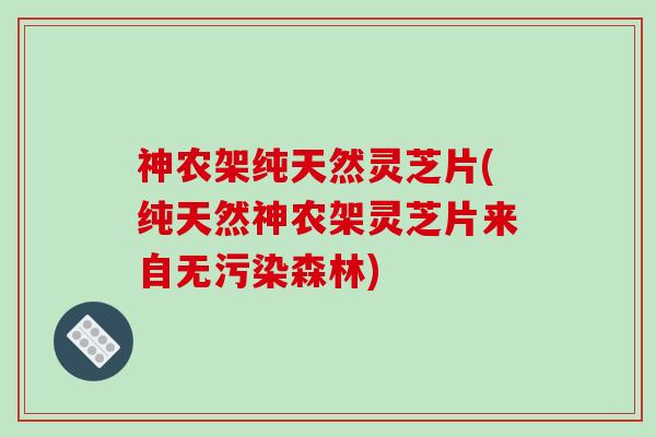 神农架纯天然灵芝片(纯天然神农架灵芝片来自无污染森林)