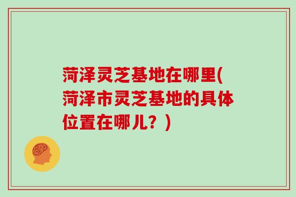 菏泽灵芝基地在哪里(菏泽市灵芝基地的具体位置在哪儿?)
