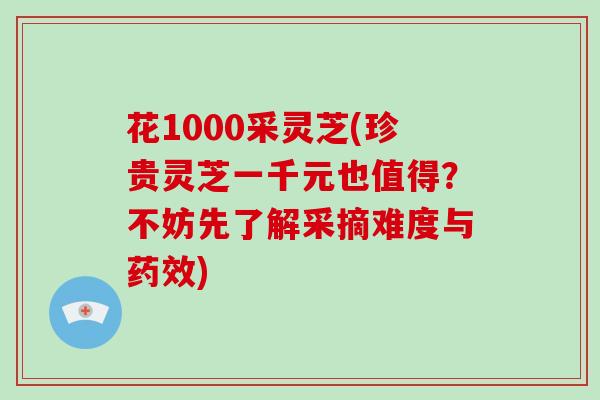花1000采灵芝(珍贵灵芝一千元也值得?不妨先了解采摘难度与药效)
