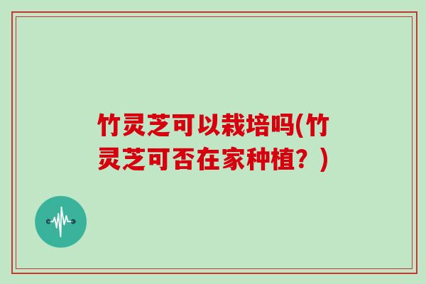 竹灵芝可以栽培吗(竹灵芝可否在家种植?)