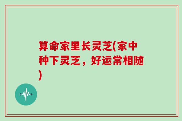算命家里长灵芝(家中种下灵芝,好运常相随)