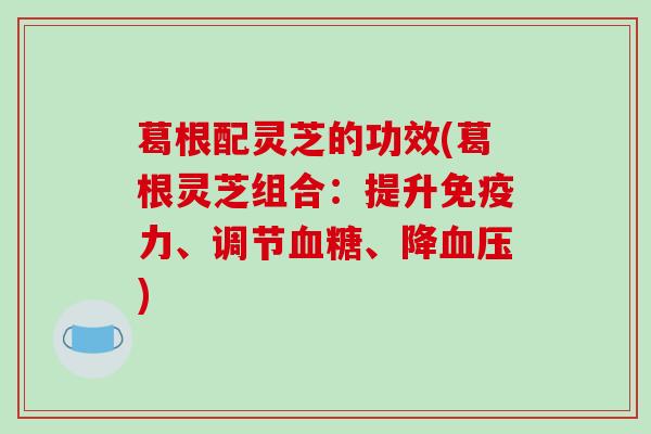 葛根配灵芝的功效(葛根灵芝组合:提升免疫力、调节血糖、降血压)