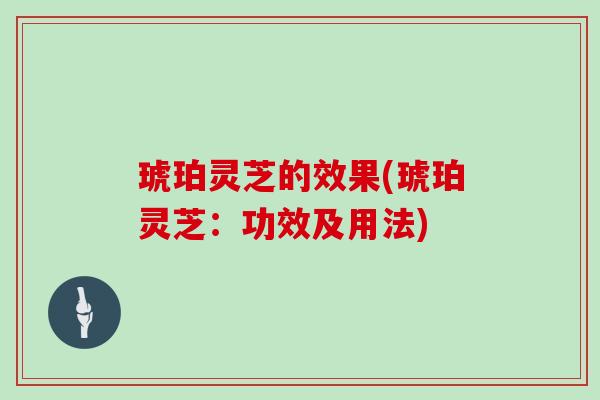 琥珀灵芝的效果(琥珀灵芝:功效及用法)