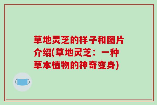 草地灵芝的样子和图片介绍(草地灵芝：一种草本植物的神奇变身)