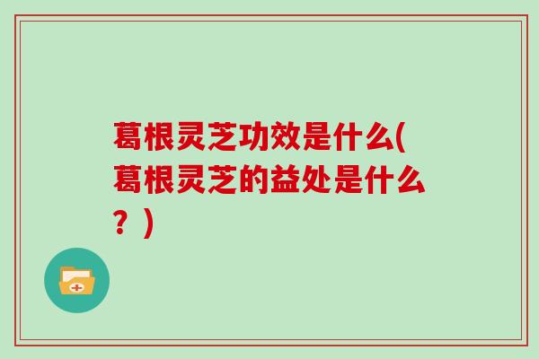 葛根灵芝功效是什么(葛根灵芝的益处是什么？)