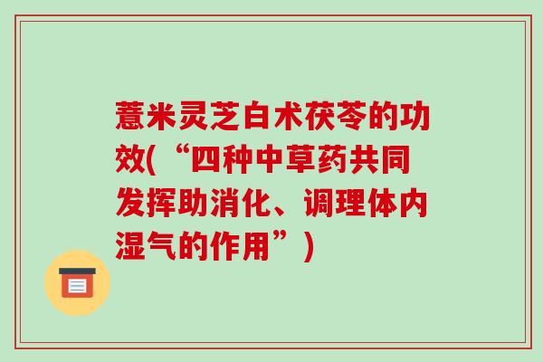 薏米灵芝白术茯苓的功效(“四种中草药共同发挥助消化、调理体内湿气的作用”)