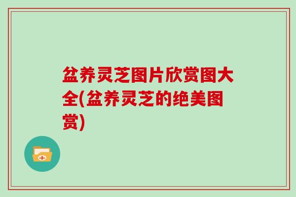 盆养灵芝图片欣赏图大全(盆养灵芝的绝美图赏)