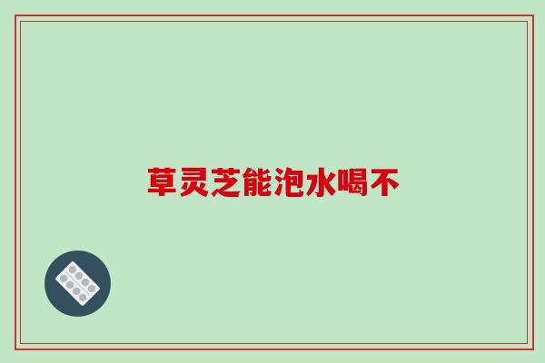草灵芝能泡水喝不