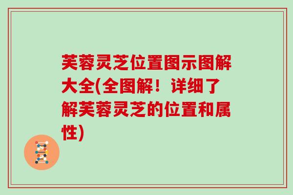 芙蓉灵芝位置图示图解大全(全图解!详细了解芙蓉灵芝的位置和属性)