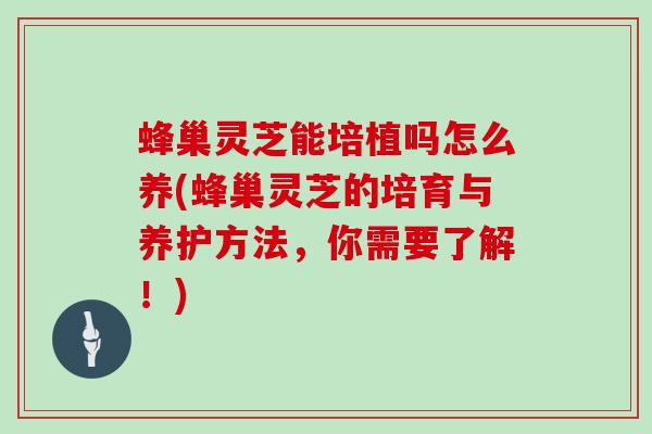 蜂巢灵芝能培植吗怎么养(蜂巢灵芝的培育与养护方法，你需要了解！)