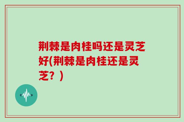 荆棘是肉桂吗还是灵芝好(荆棘是肉桂还是灵芝?)