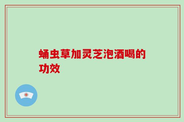 蛹虫草加灵芝泡酒喝的功效