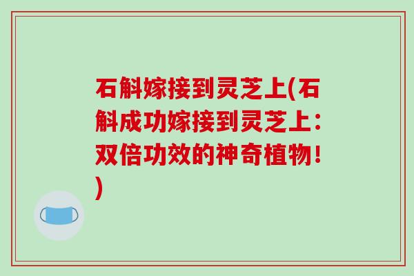 石斛嫁接到灵芝上(石斛成功嫁接到灵芝上:双倍功效的神奇植物!)