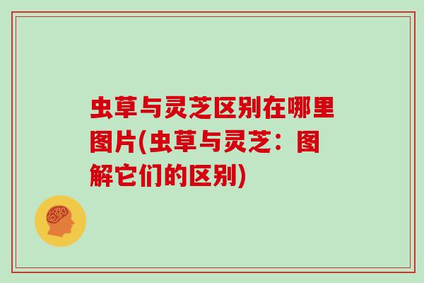 虫草与灵芝区别在哪里图片(虫草与灵芝：图解它们的区别)