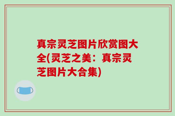 真宗灵芝图片欣赏图大全(灵芝之美：真宗灵芝图片大合集)