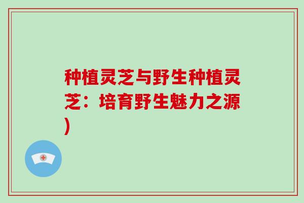 种植灵芝与野生种植灵芝:培育野生魅力之源)