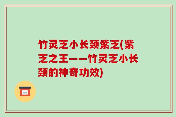 竹灵芝小长颈紫芝(紫芝之王——竹灵芝小长颈的神奇功效)