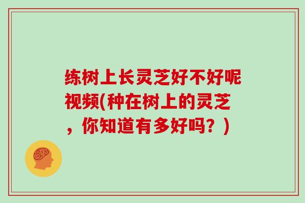 练树上长灵芝好不好呢视频(种在树上的灵芝,你知道有多好吗?)