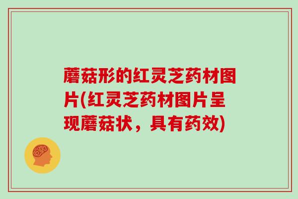 蘑菇形的红灵芝药材图片(红灵芝药材图片呈现蘑菇状,具有药效)