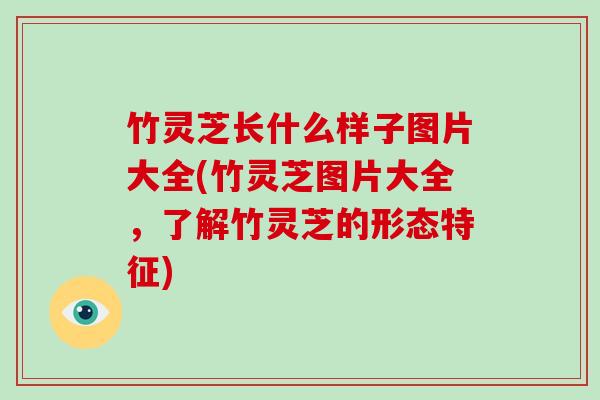 竹灵芝长什么样子图片大全(竹灵芝图片大全，了解竹灵芝的形态特征)