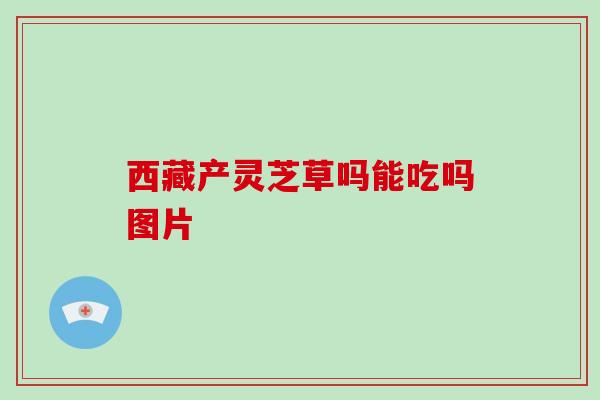 西藏产灵芝草吗能吃吗图片