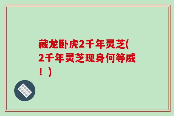 藏龙卧虎2千年灵芝(2千年灵芝现身何等威！)