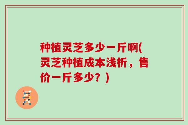 种植灵芝多少一斤啊(灵芝种植成本浅析，售价一斤多少？)