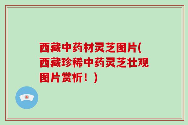 西藏中药材灵芝图片(西藏珍稀中药灵芝壮观图片赏析！)