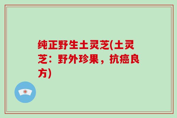 纯正野生土灵芝(土灵芝:野外珍果,抗癌良方)