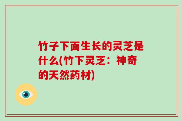 竹子下面生长的灵芝是什么(竹下灵芝:神奇的天然药材)