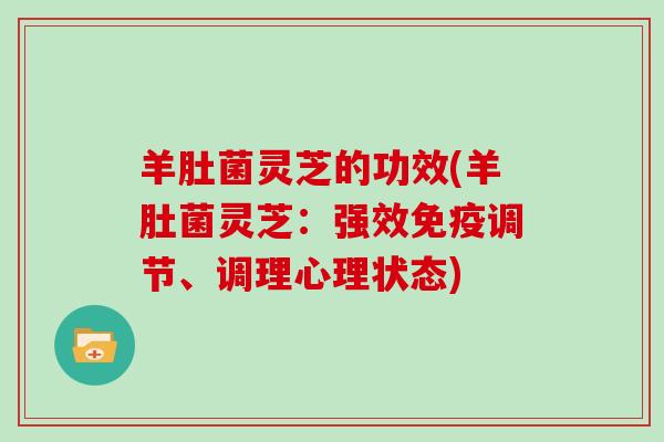 羊肚菌灵芝的功效(羊肚菌灵芝：强效免疫调节、调理心理状态)