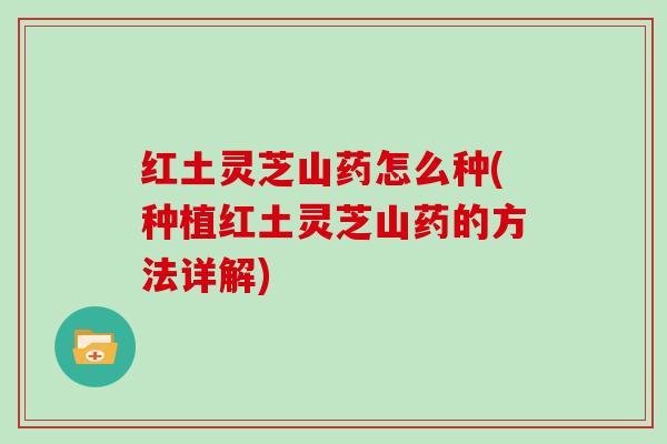 红土灵芝山药怎么种(种植红土灵芝山药的方法详解)