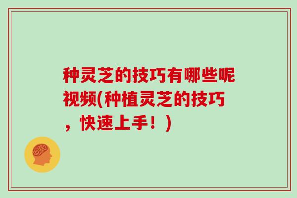 种灵芝的技巧有哪些呢视频(种植灵芝的技巧,快速上手!)