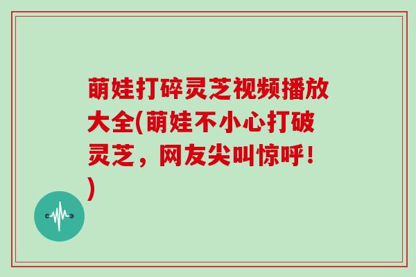 萌娃打碎灵芝视频播放大全(萌娃不小心打破灵芝,网友尖叫惊呼!)