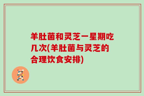 羊肚菌和灵芝一星期吃几次(羊肚菌与灵芝的合理饮食安排)