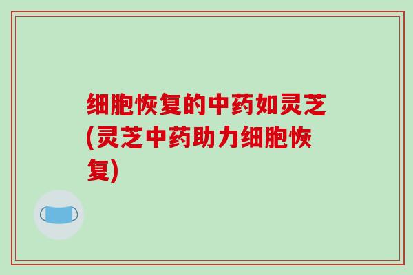 细胞恢复的中药如灵芝(灵芝中药助力细胞恢复)