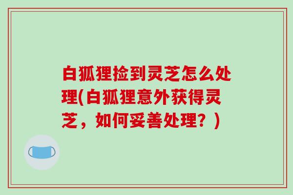 白狐狸捡到灵芝怎么处理(白狐狸意外获得灵芝，如何妥善处理？)