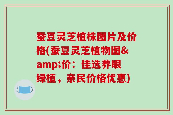 蚕豆灵芝植株图片及价格(蚕豆灵芝植物图&价:佳选养眼绿植,亲民价格优惠)