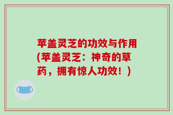 苹盖灵芝的功效与作用(苹盖灵芝:神奇的草药,拥有惊人功效!)