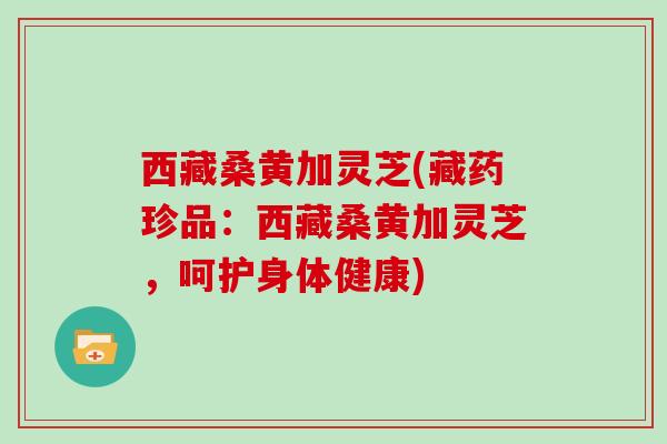 西藏桑黄加灵芝(藏药珍品：西藏桑黄加灵芝，呵护身体健康)