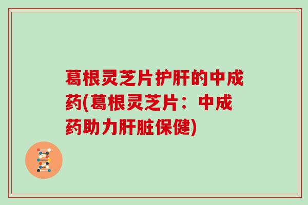 葛根灵芝片护肝的中成药(葛根灵芝片：中成药助力肝脏保健)