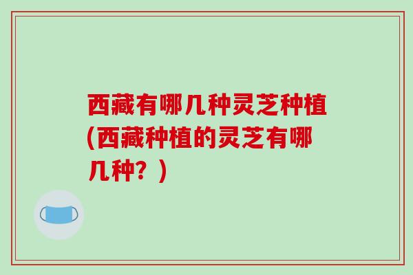西藏有哪几种灵芝种植(西藏种植的灵芝有哪几种?)