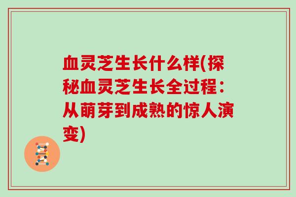 血灵芝生长什么样(探秘血灵芝生长全过程:从萌芽到成熟的惊人演变)