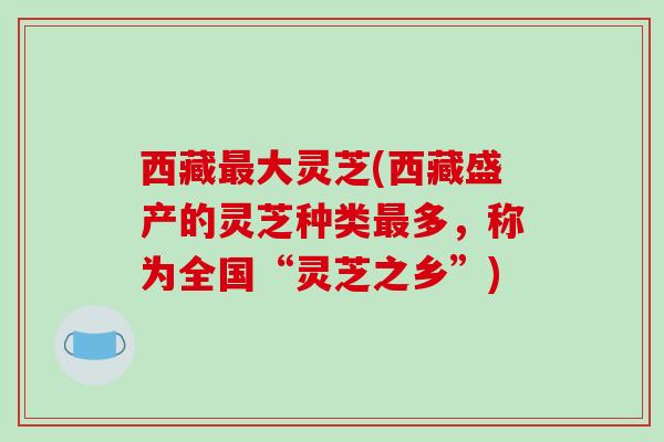 西藏最大灵芝(西藏盛产的灵芝种类最多，称为全国“灵芝之乡”)