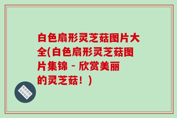 白色扇形灵芝菇图片大全(白色扇形灵芝菇图片集锦 - 欣赏美丽的灵芝菇！)
