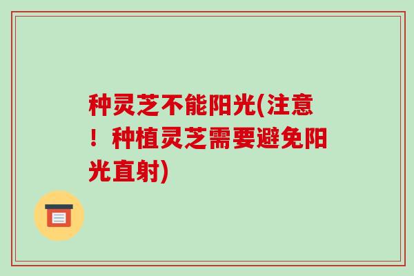 种灵芝不能阳光(注意!种植灵芝需要避免阳光直射)