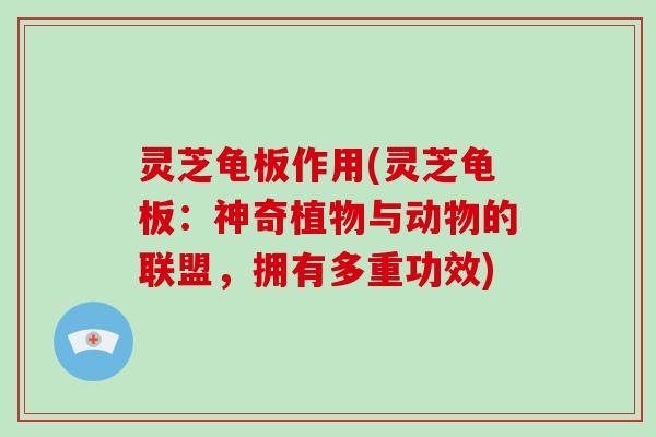 灵芝龟板作用(灵芝龟板:神奇植物与动物的联盟,拥有多重功效)