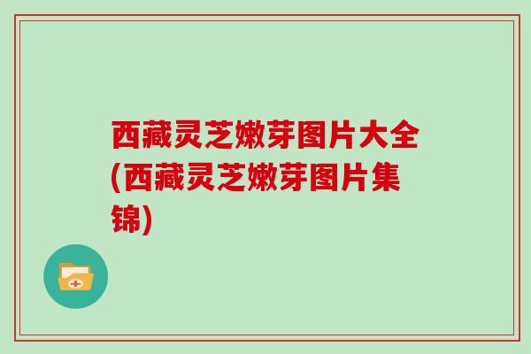 西藏灵芝嫩芽图片大全(西藏灵芝嫩芽图片集锦)