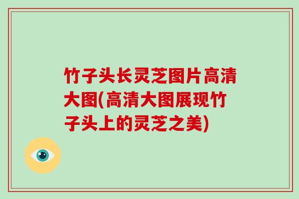 竹子头长灵芝图片高清大图(高清大图展现竹子头上的灵芝之美)